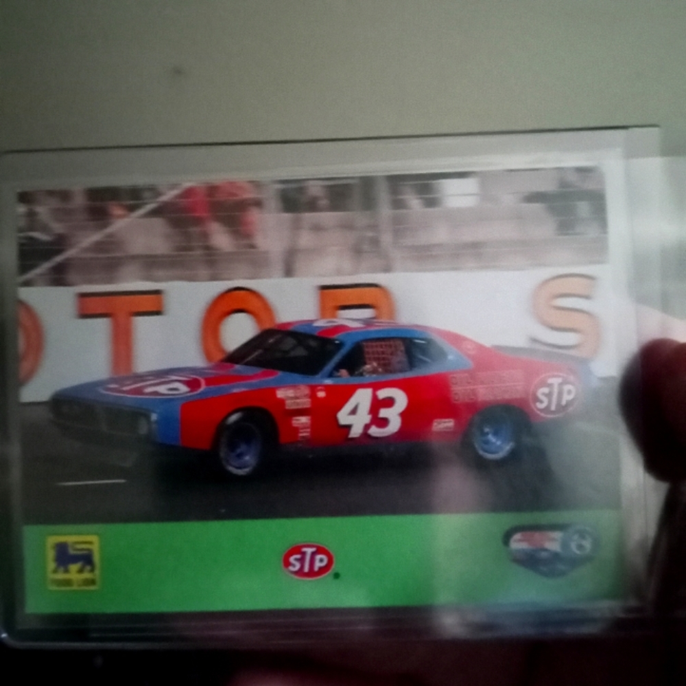 1995 food lion Richard petty